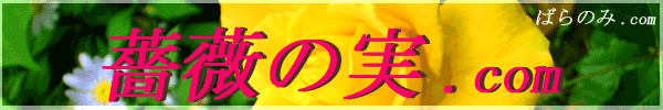 �K�N�̎�.com